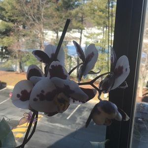 Meet your Posher, Terry